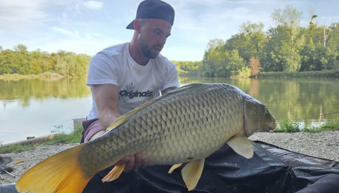A carp from Renarde, Sep 2026