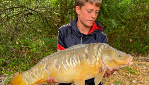 A carp from Renarde, Aug 2026