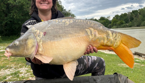 A carp from Renarde, May 2026