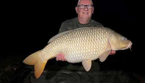 A carp from Renarde, May 2026