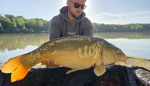 A carp from Renarde, Sep 2026
