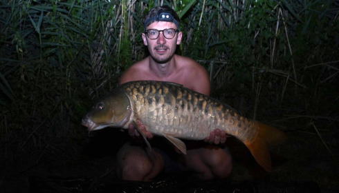 A carp from Renarde, Swim 5, Jul 2026