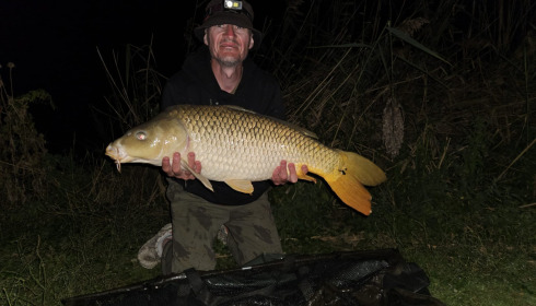 A carp from Renarde, Rob Donnelly, Sep 2026