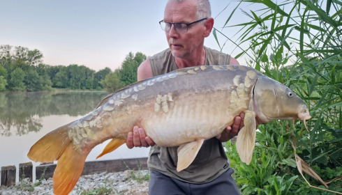 A carp from Renarde, Jul 2025