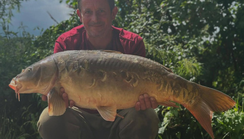 A carp from Jonchery 8, Aug 2025
