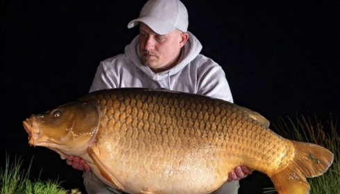 A carp from Jonchery 8, Mar 2026