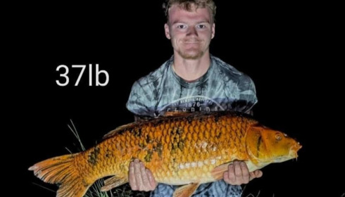 A carp from Jonchery 8, Aug 2026