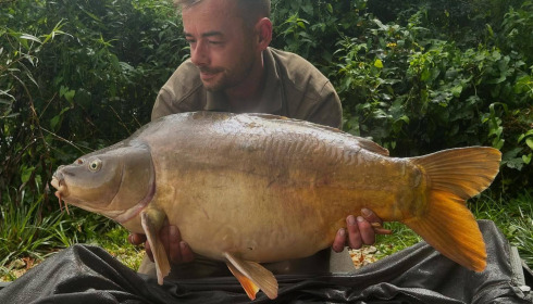 A carp from Jonchery 8, Aug 2025