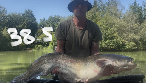 A carp from Eau De Vie North, Carp, Jun 2026
