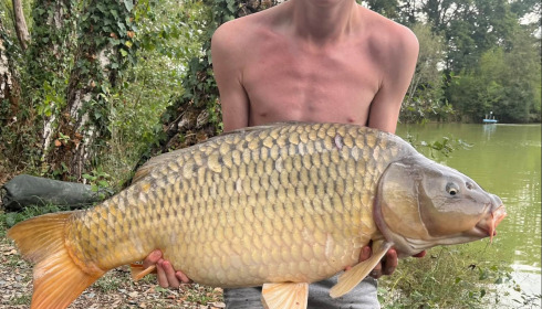 A carp from Eau De Vie North, Sep 2026