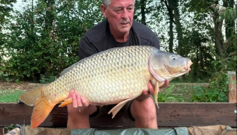 A carp from Eau De Vie North, Sep 2026