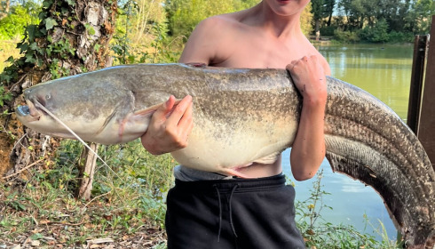 A 38 lb 2 oz catfish from Eau De Vie North, Sep 2026