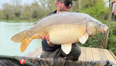 A carp from Eau De Vie North, Apr 2026