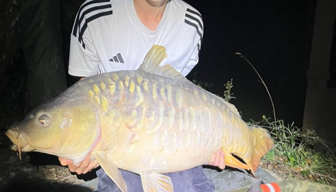 A carp from Eau De Vie North, Sep 2026