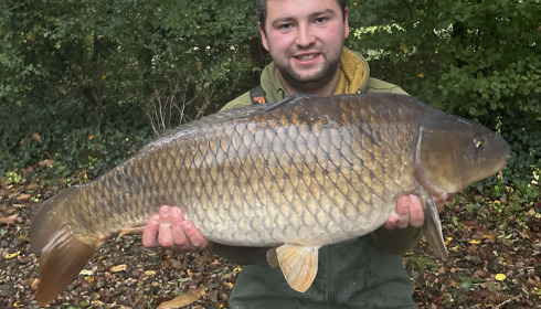 A carp from Autels, Oct 2024