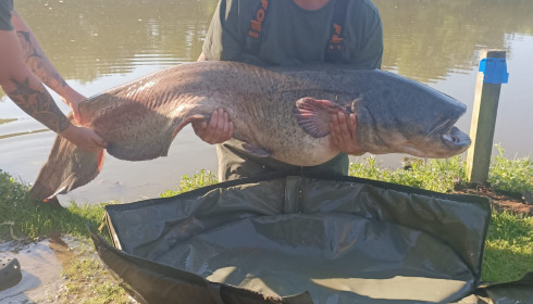 A 85 lb 4 oz fish from Autels, Catfish, May 2025