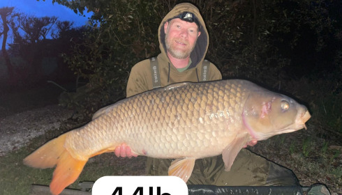 A fish from Autels, Sep 2025