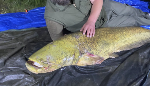 A fish from Autels, 103lb cat, May 2023