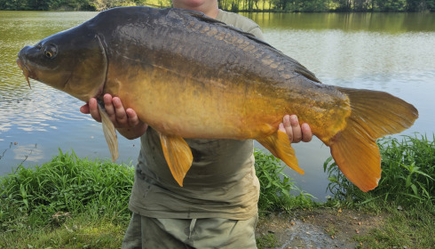 A carp from Autels, Jul 2024