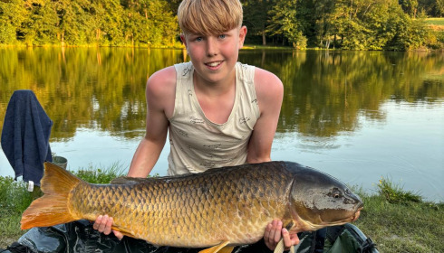A carp from Autels, Jul 2024