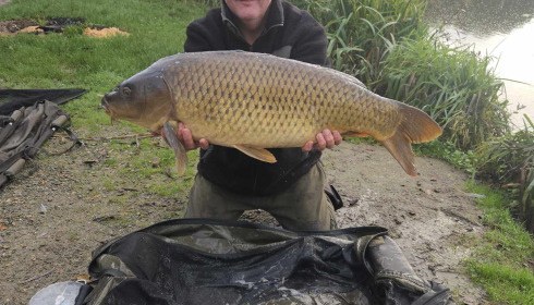 A carp from Autels, Oct 2024