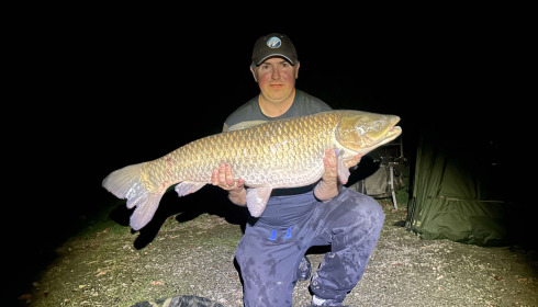 A carp from Autels, Oct 2024