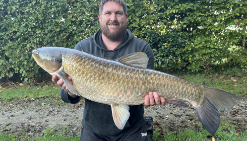 A carp from Autels, Oct 2024