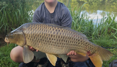 A carp from Autels, Jul 2024