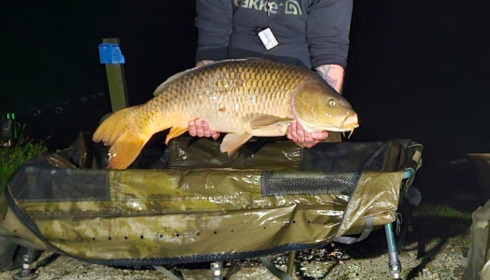 A 36 lb 5 oz fish from Autels, Common carp, Aug 2024