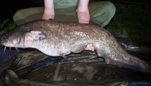 A 50 lb fish from Autels, Apr 2024