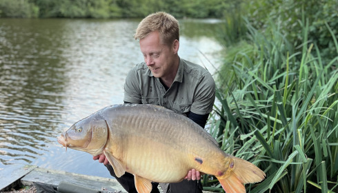 A carp from Bears Lake, Sep 2024