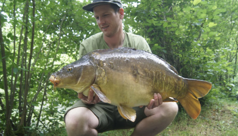 A carp from Bears Lake, Jan 2022
