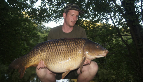 A carp from Bears Lake, Jan 2022