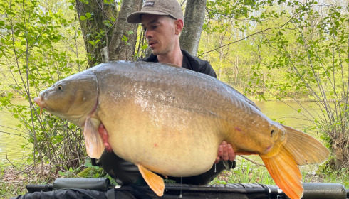 A carp from Bears Lake, Jan 2022