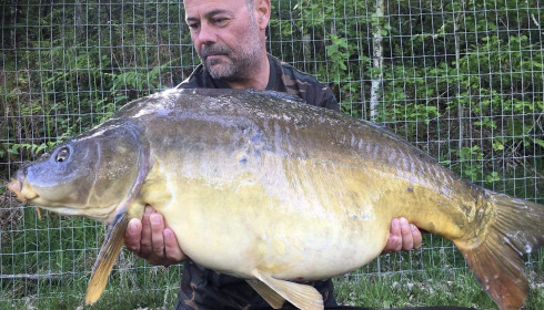 A carp from Bears Lake, Jan 2022
