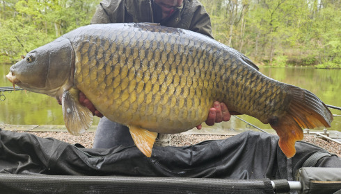 A 44 lb 3 oz fish from Bears Lake, Common, Apr 2024