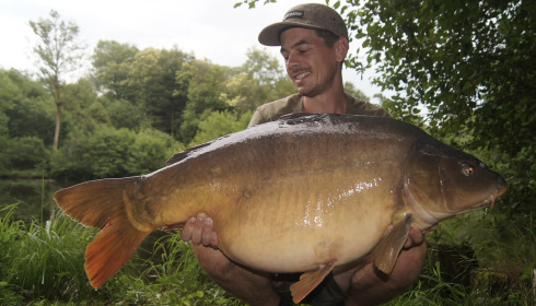 A carp from Bears Lake, Jan 2022