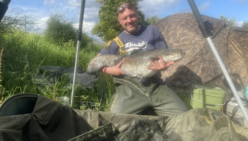 A catfish from Beaurepaire, Jul 2024