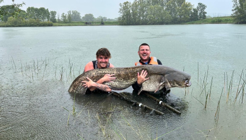 A fish from Beaurepaire, Cat 115, Aug 2024