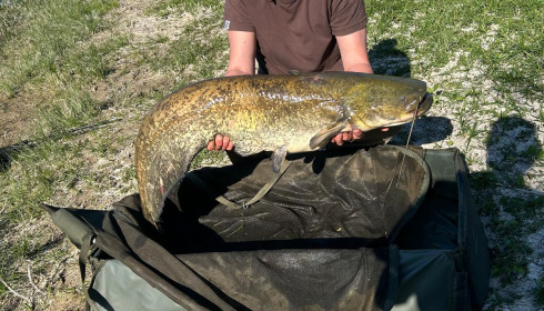 A carp from Beaurepaire, May 2025