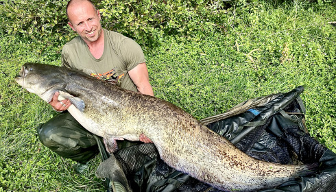 A 82 lb fish from Beaurepaire, Biggest catfish, Sep 2024