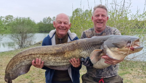 A 65 lb fish from Beaurepaire, 65lb cat, Apr 2025