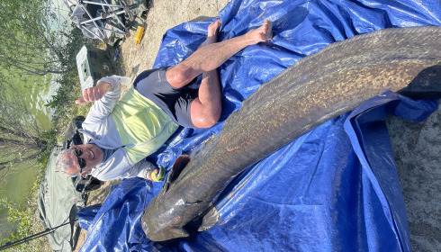 A fish from Beaurepaire, 124lb Catfish, May 2025