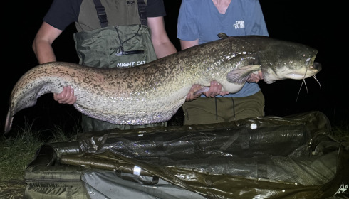 A 76 lb fish from Beaurepaire, Aug 2024