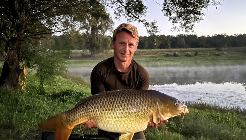A 37 lb 8 oz fish from Beaurepaire, Immaculate common, Sep 2023