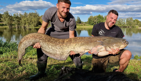 A catfish from Beaurepaire, 105lb, Sep 2024