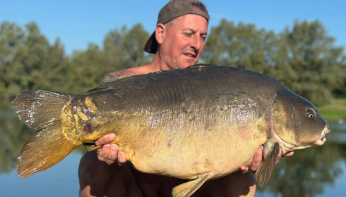 A carp from Beaurepaire, Aug 2024