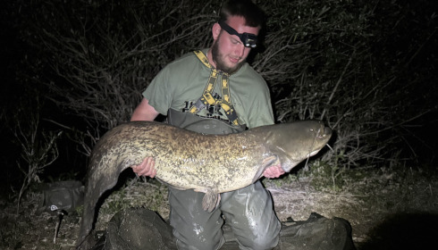 A 61 lb fish from Beaurepaire, Catfish, Apr 2025