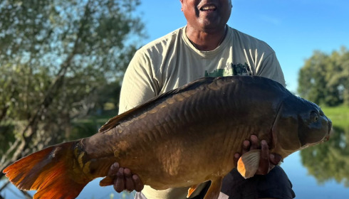 A carp from Beaurepaire, Aug 2024