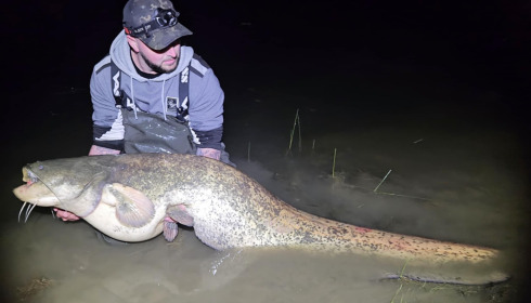 A 87 lb 8 oz fish from Beaurepaire, Catfish, May 2025